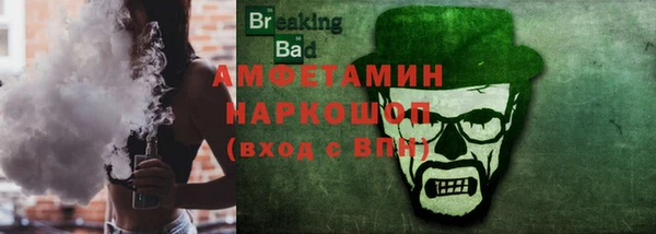 прущие грибы Мурманск