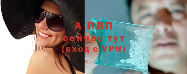 сатива Ладушкин