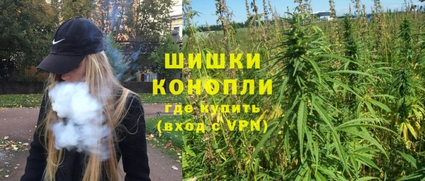 прущие грибы Мурманск