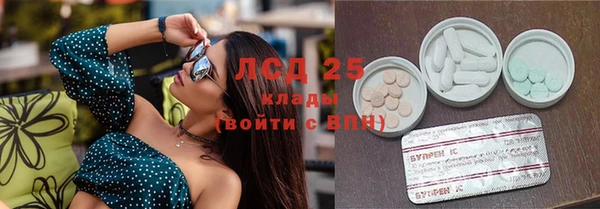 ПСИЛОЦИБИНОВЫЕ ГРИБЫ Кулебаки