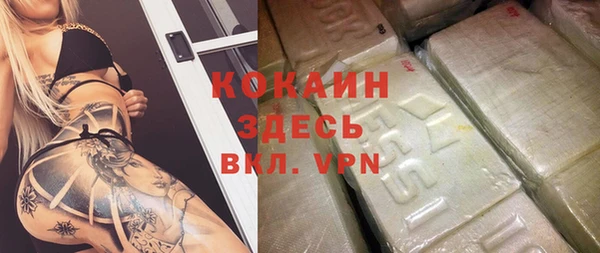 эйфоретик Няндома