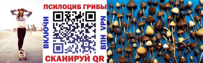 omg ссылка  Новоузенск  Галлюциногенные грибы Psilocybe  где купить  